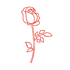 Image 1 Rose.png